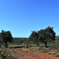 Land plot in Greece