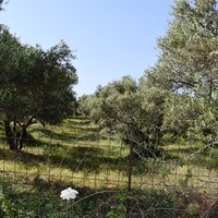 Земельный участок в Греции