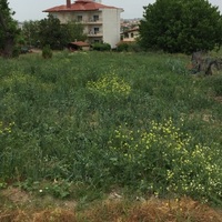 Земельный участок в Греции