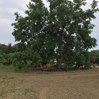 Земельный участок в Греции