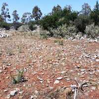 Земельный участок в Греции