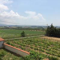 Other in Greece, 360 sq.m.