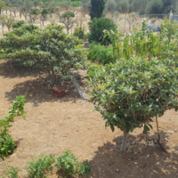 Таунхаус в Греции, 130 кв.м.