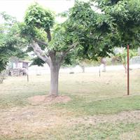 Другое в Греции, 160 кв.м.