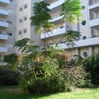 Flat in Greece, 88 sq.m.