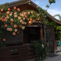 Other in Greece, 340 sq.m.