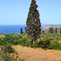 Land plot in Greece
