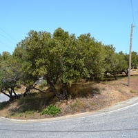 Земельный участок в Греции