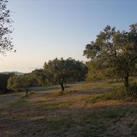 Земельный участок в Греции