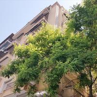 Flat in Greece, 52 sq.m.