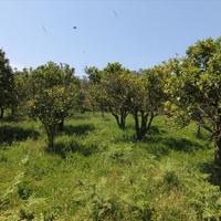 Земельный участок в Греции