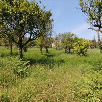 Земельный участок в Греции