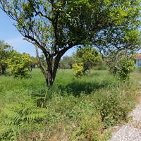 Земельный участок в Греции