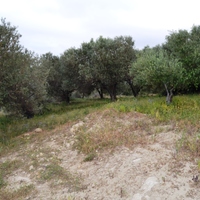 Land plot in Greece