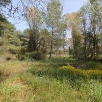 Земельный участок в Греции