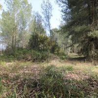 Земельный участок в Греции