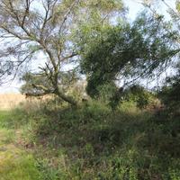 Земельный участок в Греции