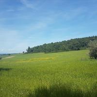 Земельный участок в Греции