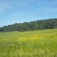 Земельный участок в Греции