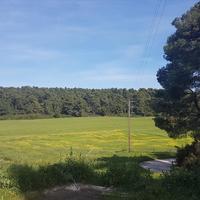 Земельный участок в Греции