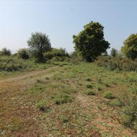 Земельный участок в Греции