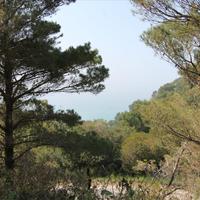 Земельный участок в Греции