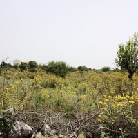 Land plot in Greece