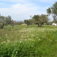 Land plot in Greece