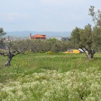 Land plot in Greece