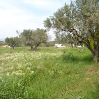 Land plot in Greece