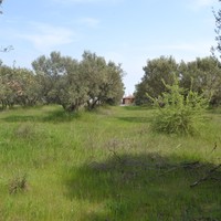 Land plot in Greece