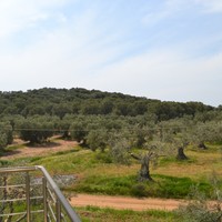 Business center in Greece, 400 sq.m.