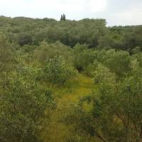 Other in Greece, 194 sq.m.