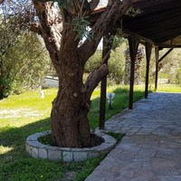 Other in Greece, 150 sq.m.