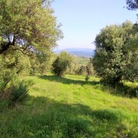 Land plot in Greece