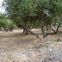 Земельный участок в Греции