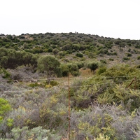 Земельный участок в Греции