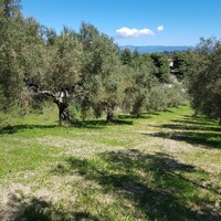 Земельный участок в Греции