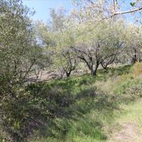 Земельный участок в Греции