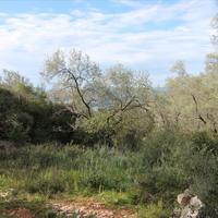 Земельный участок в Греции