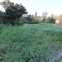 Land plot in Greece