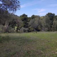 Land plot in Greece
