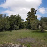 Land plot in Greece