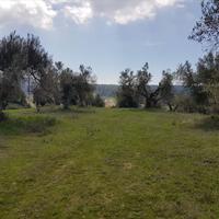 Land plot in Greece