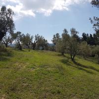 Land plot in Greece
