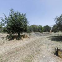 Other in Greece, 180 sq.m.