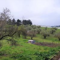 Other in Greece, 400 sq.m.