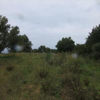Land plot in Greece
