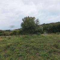 Land plot in Greece