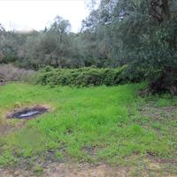 Land plot in Greece
